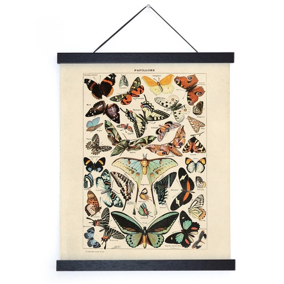 Vintage Papillons Print | Adolphe Philippe Millot ( 1857 – 1921, Paris ) - Picture 5 of 6